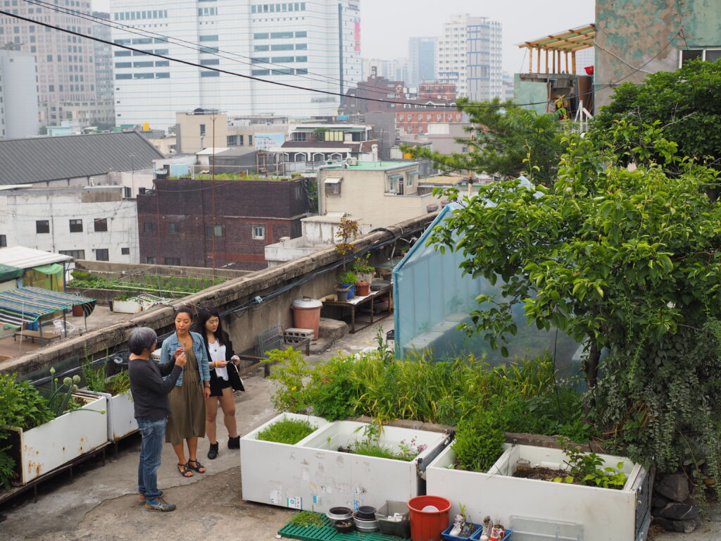 Dondaemun Rooftop Paradise in Seoul
